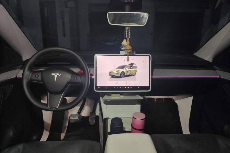 Used Tesla Model Y 2023 Long-Range All-Wheel-Drive Version Headliner