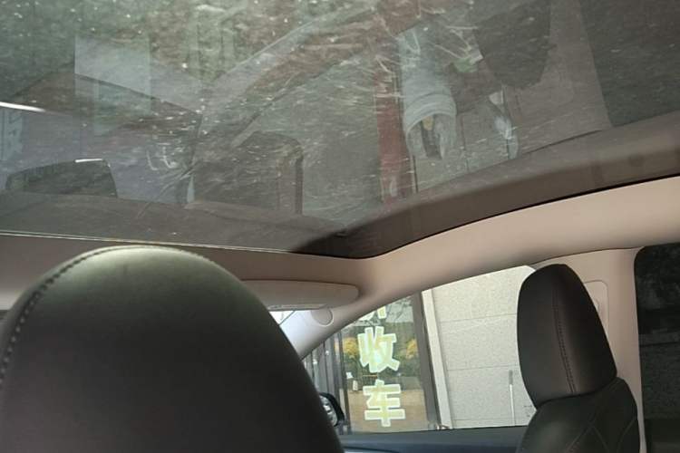 Used Tesla Model Y 2023 Rear-Wheel-Drive Version Headliner