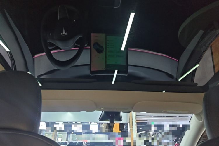 Used Tesla Model Y 2023 Rear-Wheel-Drive Version Headliner