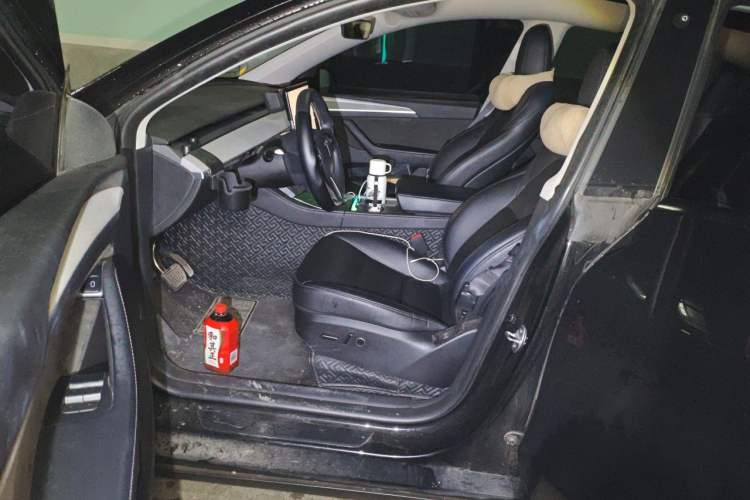 Used Tesla Model Y 2023 Rear-Wheel-Drive Version Left Front Seat
