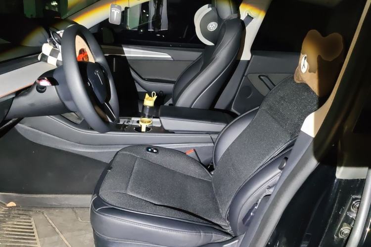 Used Tesla Model Y 2023 Rear-Wheel-Drive Version Left Front Seat