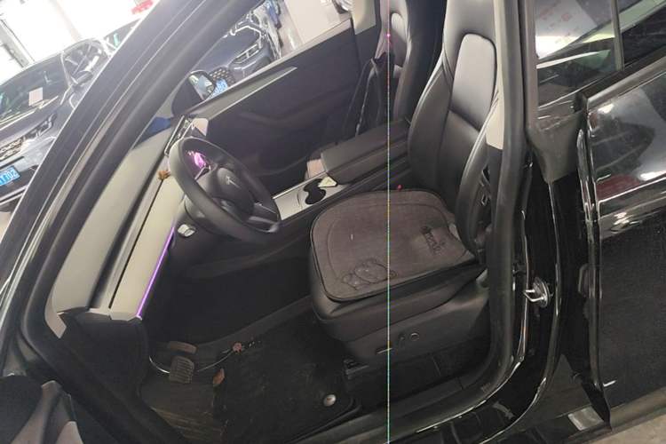Used Tesla Model Y 2023 Rear-Wheel-Drive Version Left Front Seat