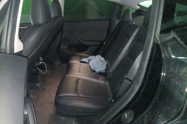 Used Tesla Model Y 2023 Long-Range All-Wheel-Drive Version Left Rear Seat