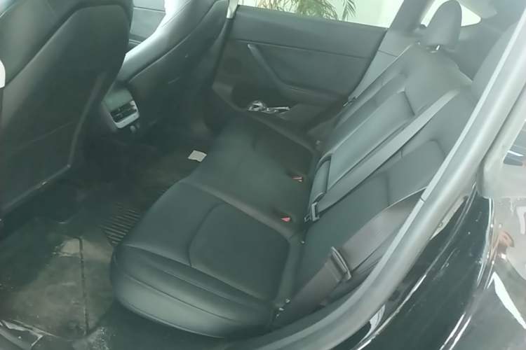 Used Tesla Model Y 2023 Rear-Wheel-Drive Version Left Rear Seat