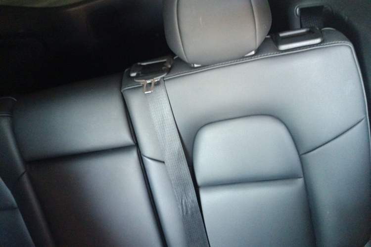 Used Tesla Model Y 2023 Rear-Wheel-Drive Version Left Rear Seat