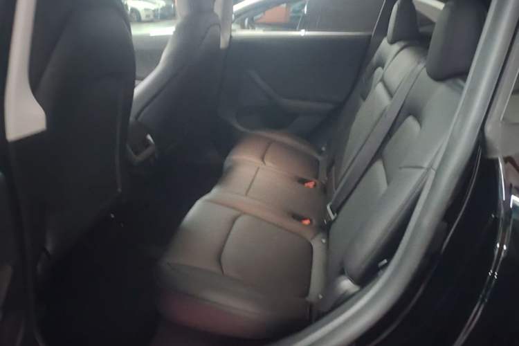 Used Tesla Model Y 2023 Long-Range All-Wheel-Drive Version Left Rear Seat