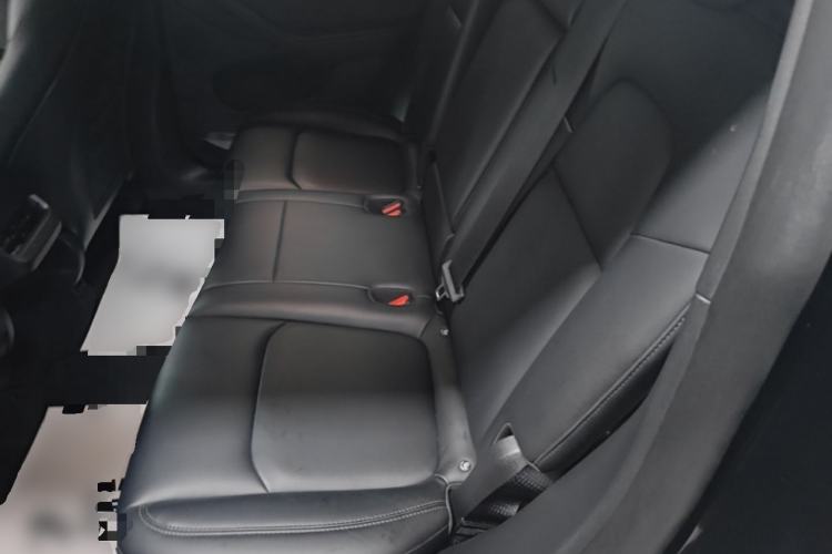 Used Tesla Model Y 2023 High-Performance All-Wheel-Drive Version Left Rear Seat