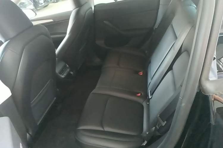 Used Tesla Model Y 2023 Rear-Wheel-Drive Version Left Rear Seat