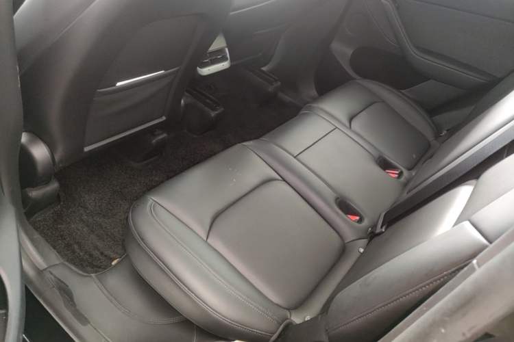 Used Tesla Model Y 2023 Rear-Wheel-Drive Version Left Rear Seat