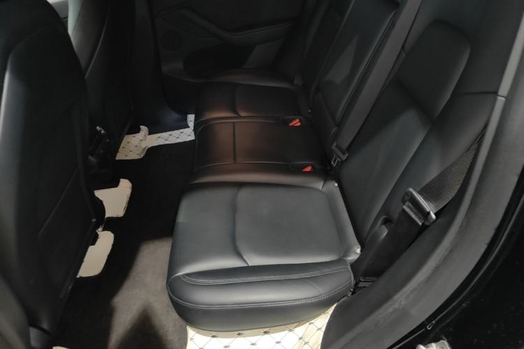 Used Tesla Model Y 2023 Rear-Wheel-Drive Version Left Rear Seat