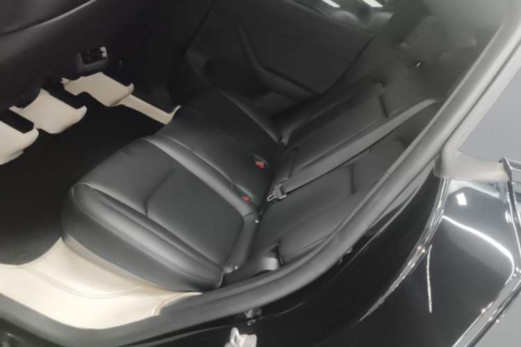 Used Tesla Model Y 2023 Rear-Wheel-Drive Version Left Rear Seat