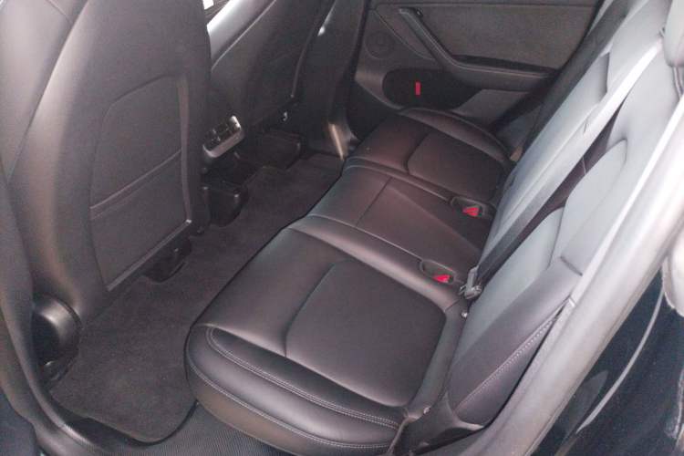 Used Tesla Model Y 2023 Rear-Wheel-Drive Version Left Rear Seat