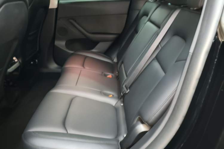 Used Tesla Model Y 2023 Rear-Wheel-Drive Version Left Rear Seat
