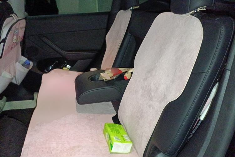 Used Tesla Model Y 2023 Long-Range All-Wheel-Drive Version Left Rear Seat