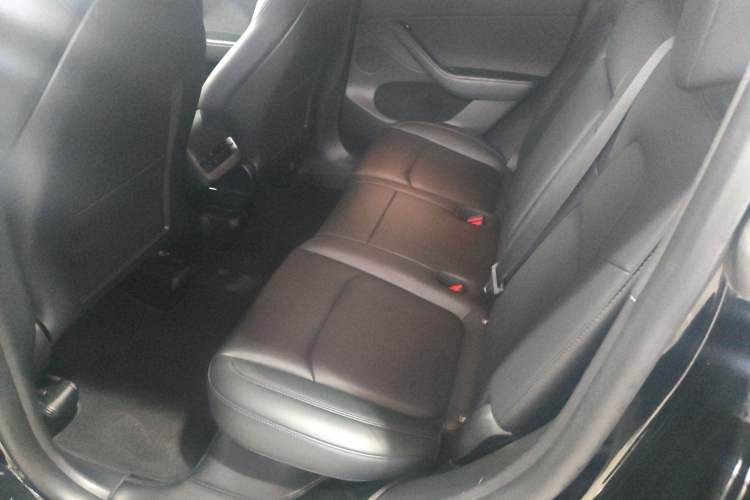 Used Tesla Model Y 2023 Long-Range All-Wheel-Drive Version Left Rear Seat