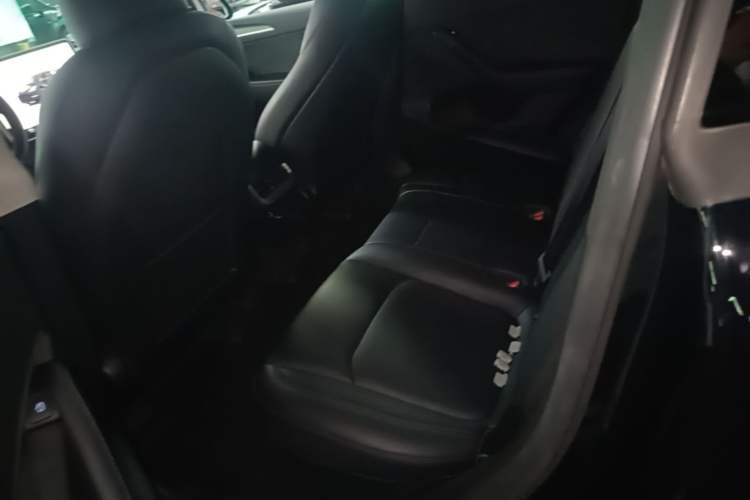 Used Tesla Model Y 2023 Rear-Wheel-Drive Version Left Rear Seat