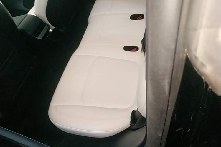 Used Tesla Model Y 2023 Rear-Wheel-Drive Version Left Rear Seat