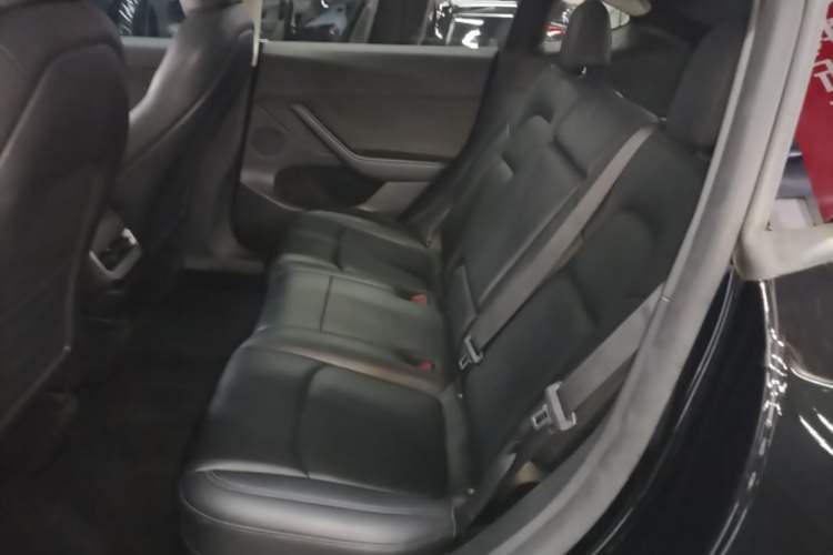 Used Tesla Model Y 2023 Rear-Wheel-Drive Version Left Rear Seat