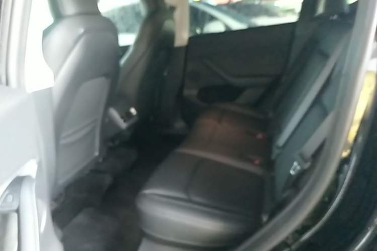 Used Tesla Model Y 2023 High-Performance All-Wheel-Drive Version Left Rear Seat