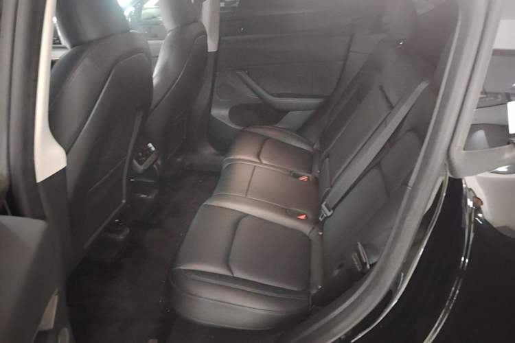 Used Tesla Model Y 2023 Rear-Wheel-Drive Version Left Rear Seat