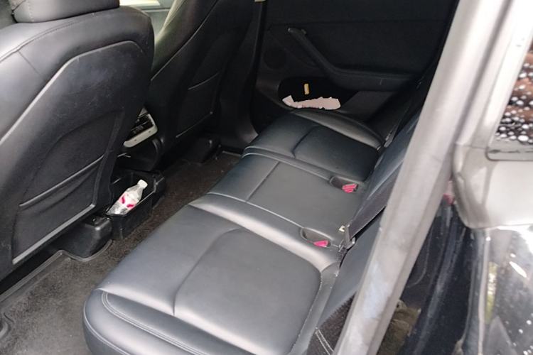 Used Tesla Model Y 2023 Long-Range All-Wheel-Drive Version Left Rear Seat