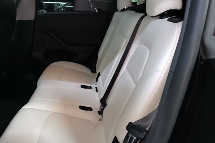 Used Tesla Model Y 2023 Rear-Wheel-Drive Version Left Rear Seat