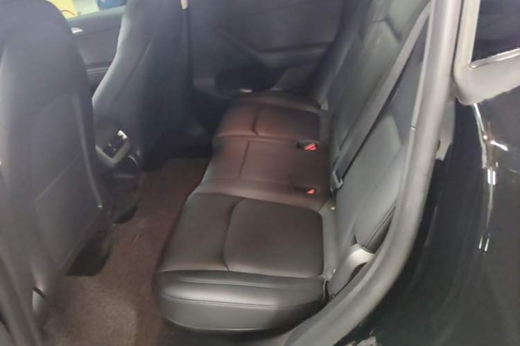 Used Tesla Model Y 2023 Long-Range All-Wheel-Drive Version Left Rear Seat