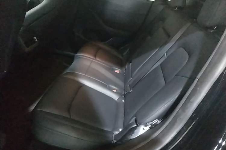 Used Tesla Model Y 2023 Long-Range All-Wheel-Drive Version Left Rear Seat