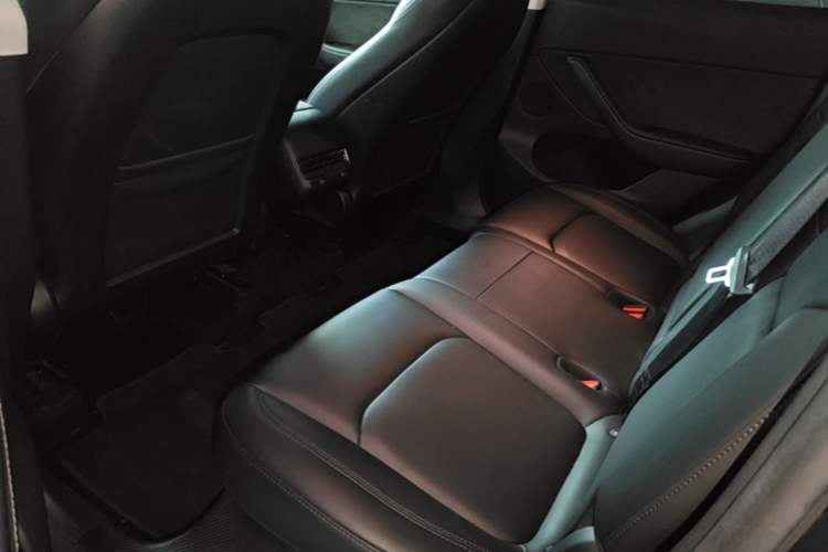 Used Tesla Model Y 2023 Rear-Wheel-Drive Version Left Rear Seat