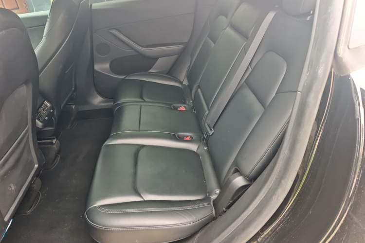 Used Tesla Model Y 2023 Long-Range All-Wheel-Drive Version Left Rear Seat