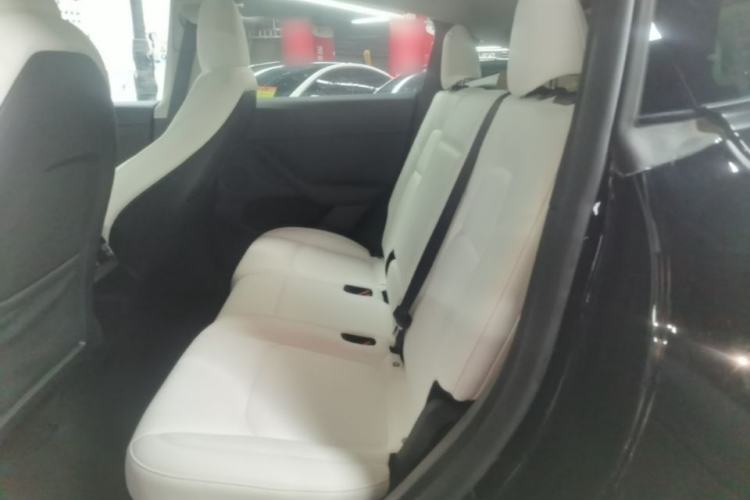 Used Tesla Model Y 2023 Rear-Wheel-Drive Version Left Rear Seat