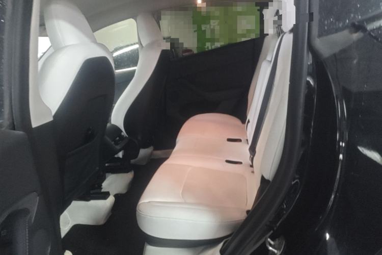 Used Tesla Model Y 2023 Rear-Wheel-Drive Version Left Rear Seat