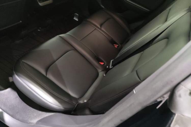 Used Tesla Model Y 2023 Rear-Wheel-Drive Version Left Rear Seat