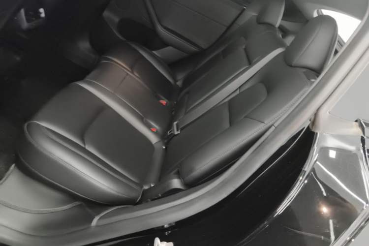 Used Tesla Model Y 2023 Long-Range All-Wheel-Drive Version Left Rear Seat