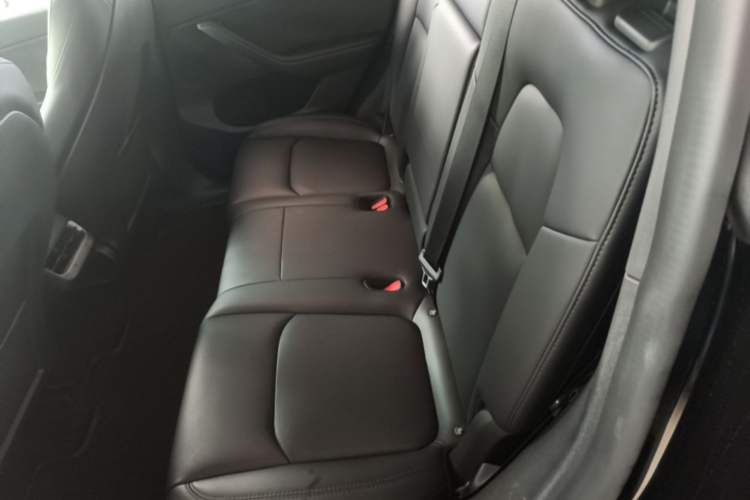 Used Tesla Model Y 2023 Rear-Wheel-Drive Version Left Rear Seat