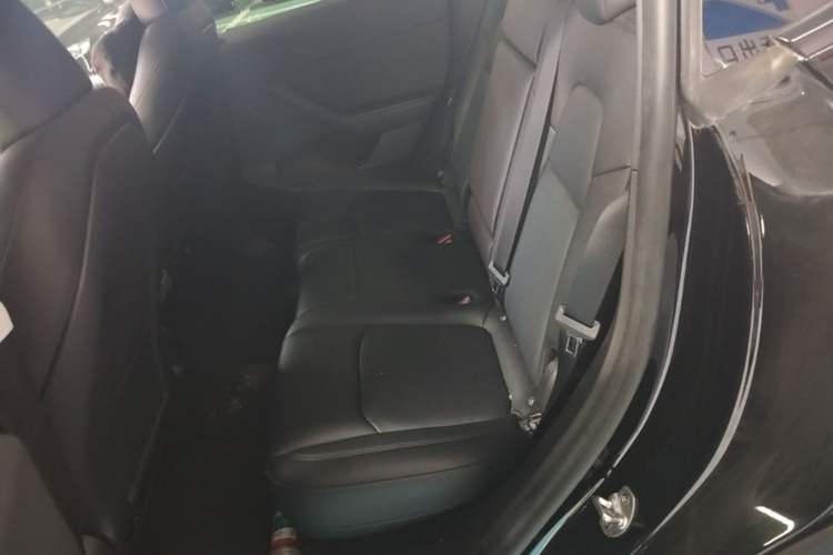 Used Tesla Model Y 2023 Rear-Wheel-Drive Version Left Rear Seat