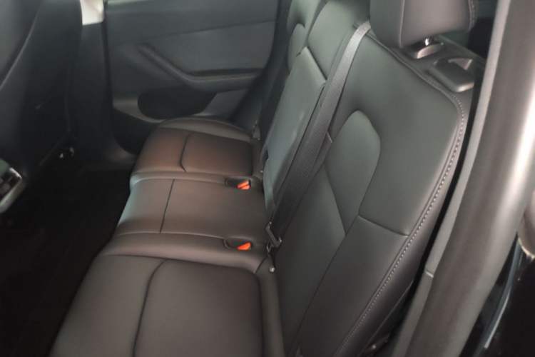 Used Tesla Model Y 2023 Long-Range All-Wheel-Drive Version Left Rear Seat