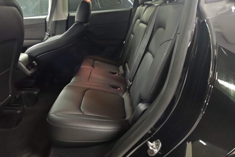 Used Tesla Model Y 2023 Rear-Wheel-Drive Version Left Rear Seat