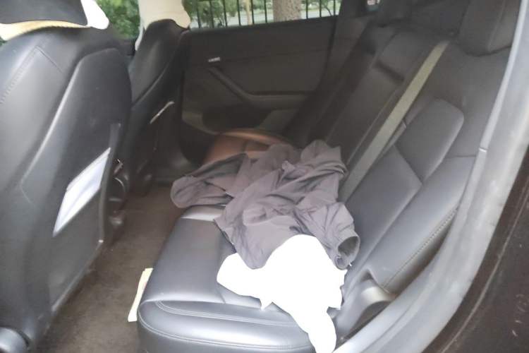 Used Tesla Model Y 2023 Long-Range All-Wheel-Drive Version Left Rear Seat