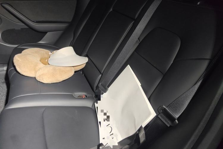 Used Tesla Model Y 2023 Rear-Wheel-Drive Version Left Rear Seat