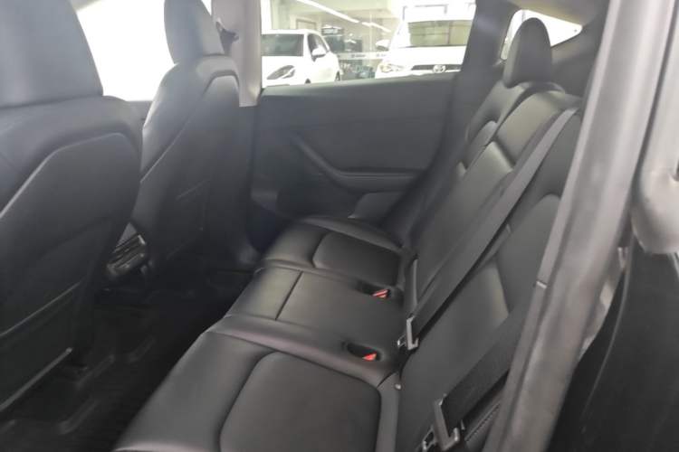 Used Tesla Model Y 2023 Rear-Wheel-Drive Version Left Rear Seat