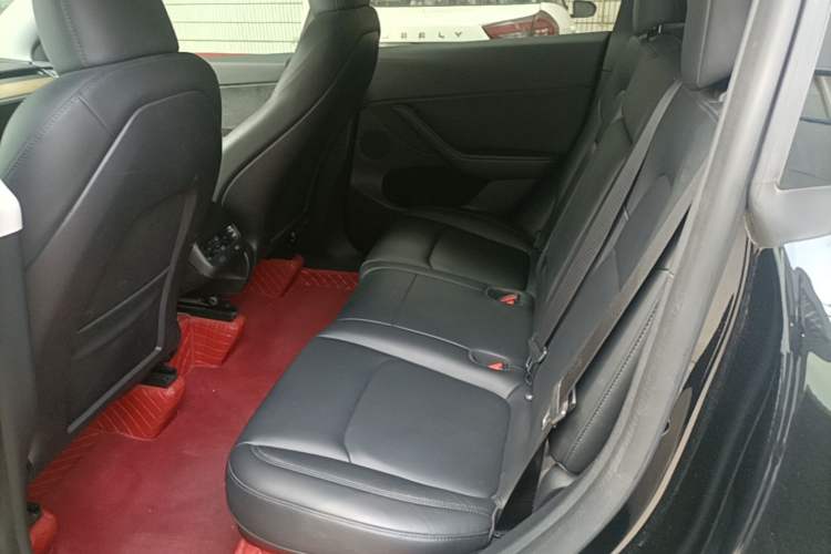 Used Tesla Model Y 2023 Rear-Wheel-Drive Version Left Rear Seat