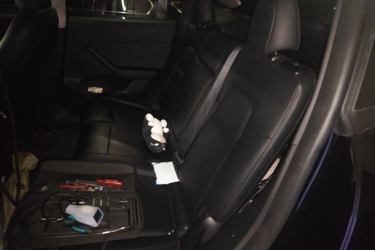 Used Tesla Model Y 2023 Rear-Wheel-Drive Version Left Rear Seat