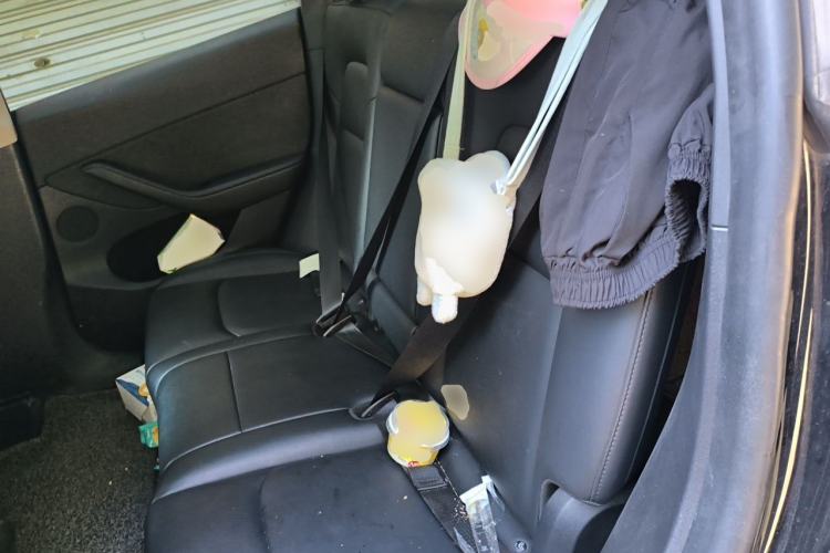Used Tesla Model Y 2023 Rear-Wheel-Drive Version Left Rear Seat