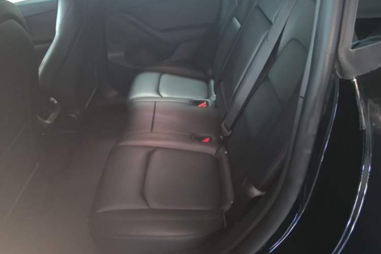 Used Tesla Model Y 2023 Rear-Wheel-Drive Version Left Rear Seat