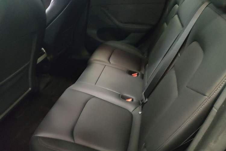 Used Tesla Model Y 2023 Long-Range All-Wheel-Drive Version Left Rear Seat