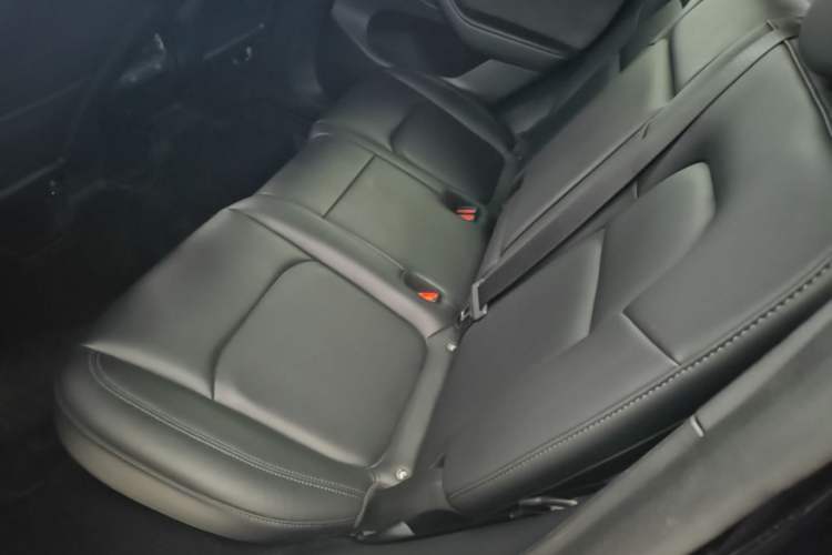 Used Tesla Model Y 2023 Long-Range All-Wheel-Drive Version Left Rear Seat