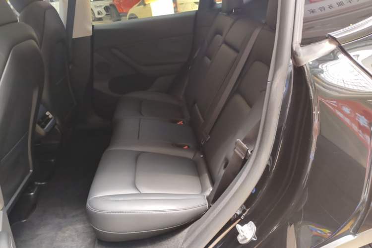 Used Tesla Model Y 2023 Rear-Wheel-Drive Version Left Rear Seat