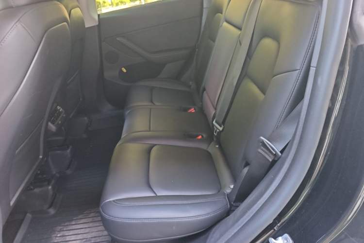 Used Tesla Model Y 2023 Rear-Wheel-Drive Version Left Rear Seat