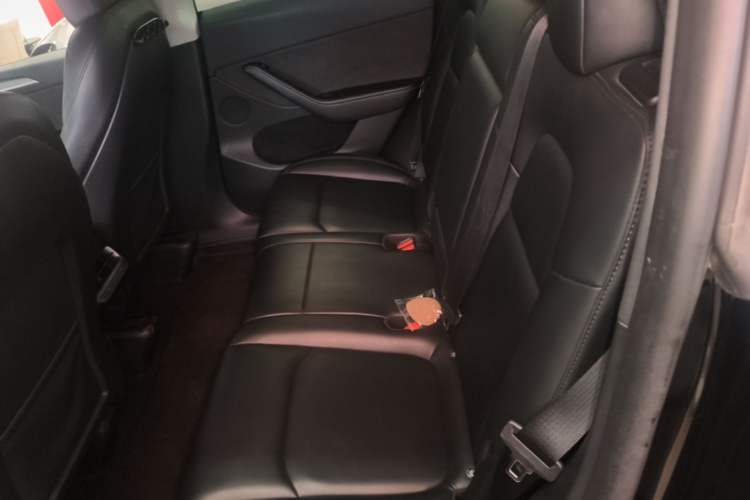 Used Tesla Model Y 2023 Rear-Wheel-Drive Version Left Rear Seat